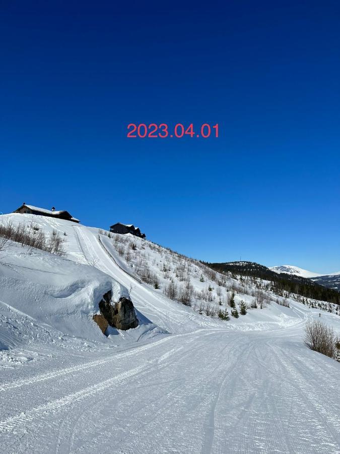 Perfect Moutain Getaway! Beautiful Apartment At Skagahogdi With Panoramic View 골 외부 사진
